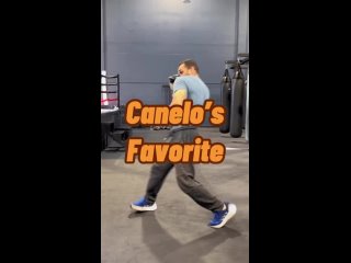 defense technique according to the method of canelo alvarez