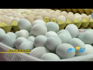 "consumer offer no. 05" poultry and egg market review •